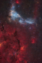 LRX-Nebuleuse-VDB14-VDB15-LHaRVB