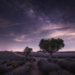 Comment choisir son photographe de mariage dans l&rsquo;Aube ?